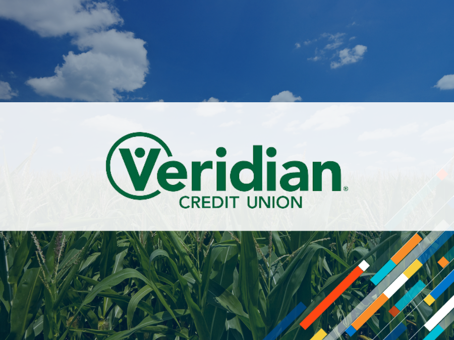 Success with Analytics: Auto Loan Savings for Members