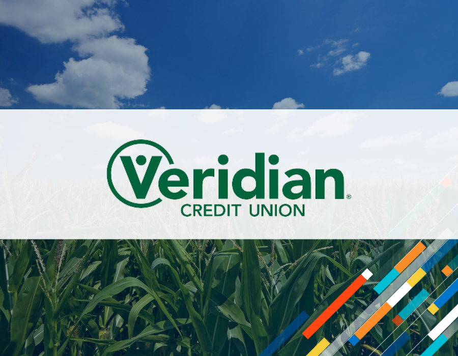 SavvyMoney and Veridian Credit Union Case Study