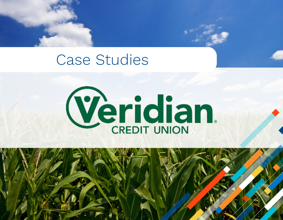 Success with Analytics Auto Loan Savings for Members Credit Score